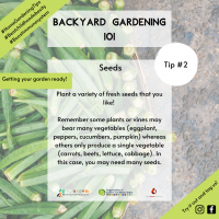 Plant a variety of fresh seeds BYG 12